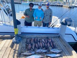 Four Spanish Mackerel, a big catch in FL
