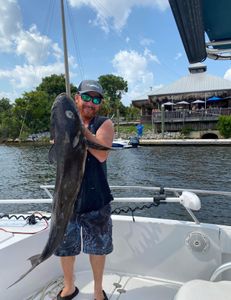 Lingcod fish caught in FL