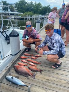 Three little tunny fish caught in Pensacola