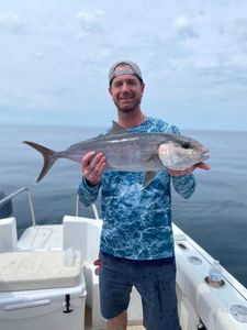 A fisherman holds a large greater amberjack in Pensacola