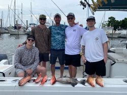 Two grey triggerfish, 21 inches, caught while fishing in FL
