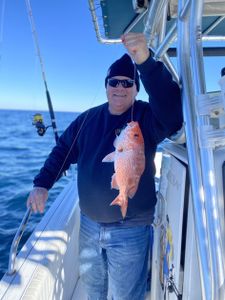 Angler fishing in Pensacola