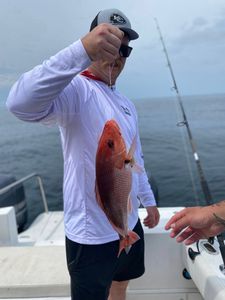 Stunning Pensacola fishing adventure
