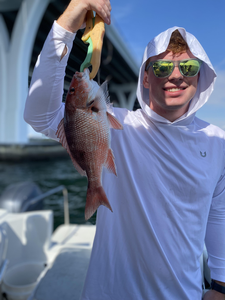 Beautiful red snapper caught in Pensacola waters!
