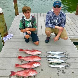 7 Spanish Mackerel fish caught while fishing in Pensacola