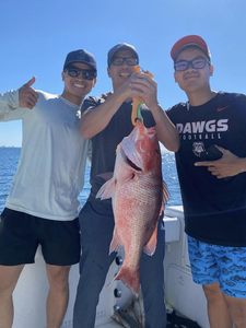 Warmouth fish caught in FL