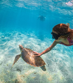 Picturesque fishing scene in Nassau, Bahamas