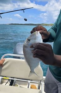 Scenic view of Nassau, Bahamas