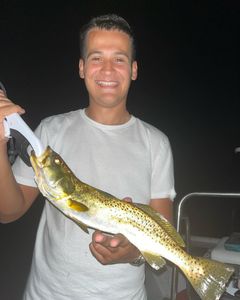 Fishing charter in Cape Coral