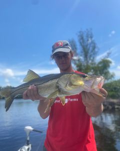 Deep sea fishing Cape Coral