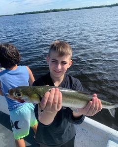 Best Charter Fishing in Cape Coral