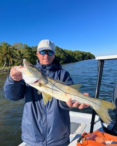 Fishing Snook in Cape Coral 2022