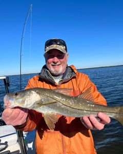 Best Cape Coral Snook Fishing