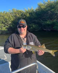 Cape Coral Snook Fishing