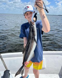 Inshore Fishing, Kid Caught a Snook today!