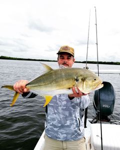 Crevalle Jack, a 22-inch fish, caught while fishing in Cape Coral