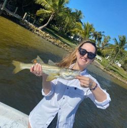 A single snook fish caught during fishing in Cape Coral