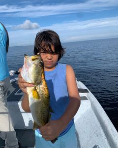 Solo angler fishing in Cape Coral