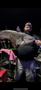 Cast Your Line in Lake Norman, Catch Catfish