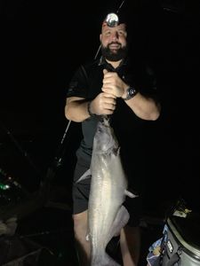Join Our Fishing Guide Trips. Catch Catfish
