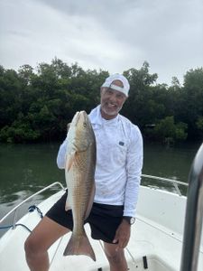 Redfish caught while fishing in Sarasota