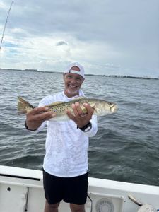 Fisherman fishing in Sarasota