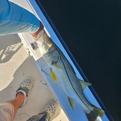 Snook fishing in FL