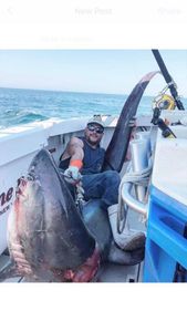 Angler with a 36-inch blue catfish in Freeport