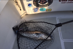 Best catch of the day in Freeport