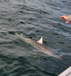 Fishing trip in NY