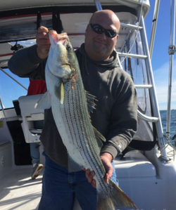 Striped bass fishing in NY