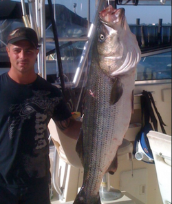 Striped bass caught while fishing in NY