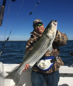 Striped bass catch in Freeport, fishing