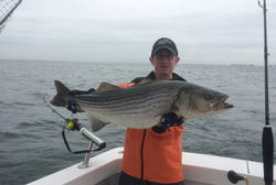Striped bass caught fishing in Freeport