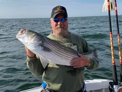 Striped bass caught by an angler in Freeport