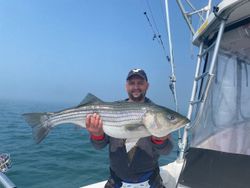 Striped bass caught by angler in NY
