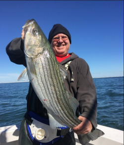 Striped bass caught fishing in NY
