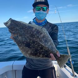 Summer Flounder fish caught in Freeport