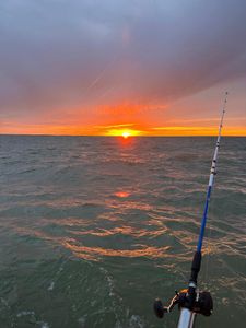 Reel in your dream fish with K2 Charters