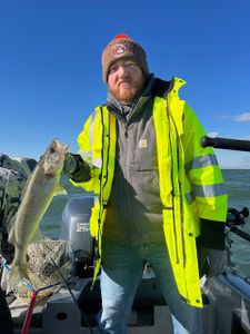 Lake Erie’s finest Walleye catch
