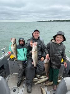 Three pike-perch caught while fishing in Cleveland