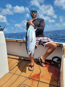 Blackfin tuna fishing in FL