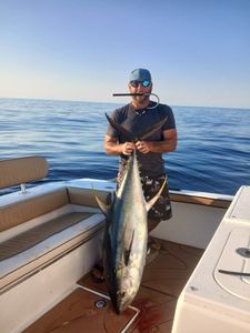 Blackfin tuna fishing in FL