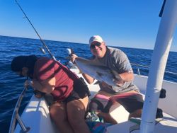 Channel catfish caught in Florida while fishing