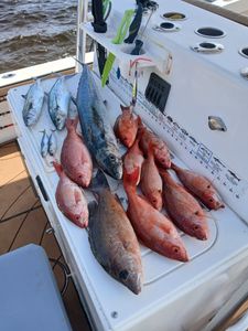 6 fish caught while fishing and water sports in FL
