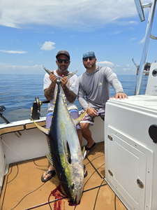 A large yellowfin tuna caught at Pensacola Beach