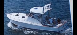 Casting Dreams: Gloucester Fishing Charters