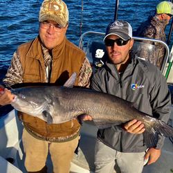 Blue catfish being caught by two people in SC