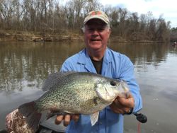 Crappie fish caught in SC while fishing