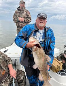 A large white catfish caught during fishing in South Carolina